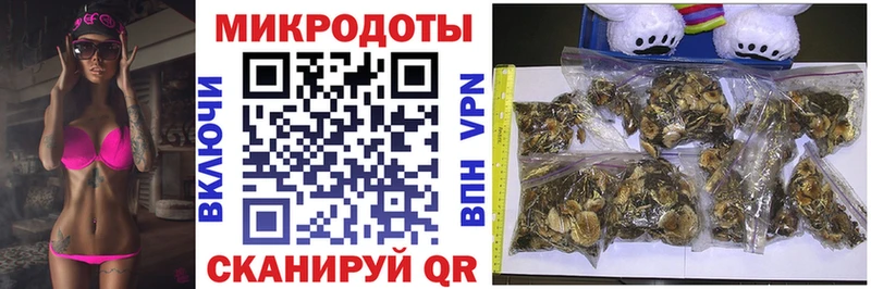 магазин продажи   Сафоново  Псилоцибиновые грибы прущие грибы 
